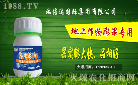 �r(n��ng)���W(w��ng)ӭ�폊(qi��ng)���������_(d��)���H���F(tu��n)�𱬁��u��