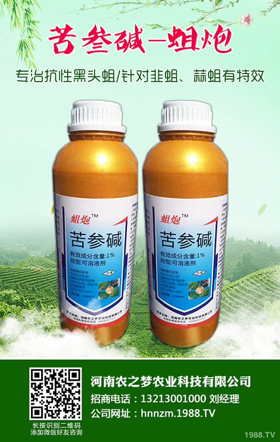 益母草的功效與作用，益母草的使用禁忌！