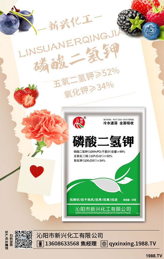 香蔥連作危害大，到底該如何解決？香蔥連作障礙及高產(chǎn)管理技術(shù)！