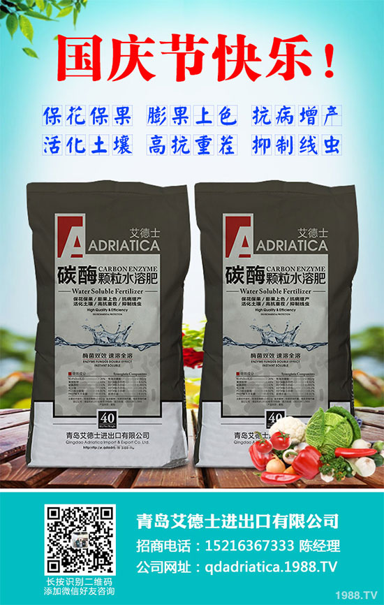 香蔥連作危害大，到底該如何解決？香蔥連作障礙及高產(chǎn)管理技術(shù)！