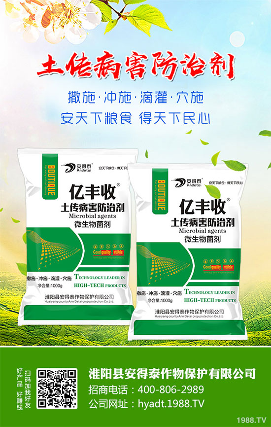 白蘿卜的功效與作用，白蘿卜營養(yǎng)價值！