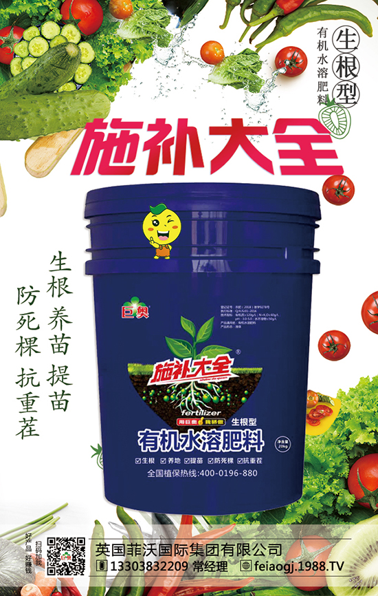 英國菲沃國際集團(tuán)有限公司