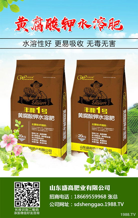 小白菜什么時候種植?小白菜高產(chǎn)種植技術(shù)