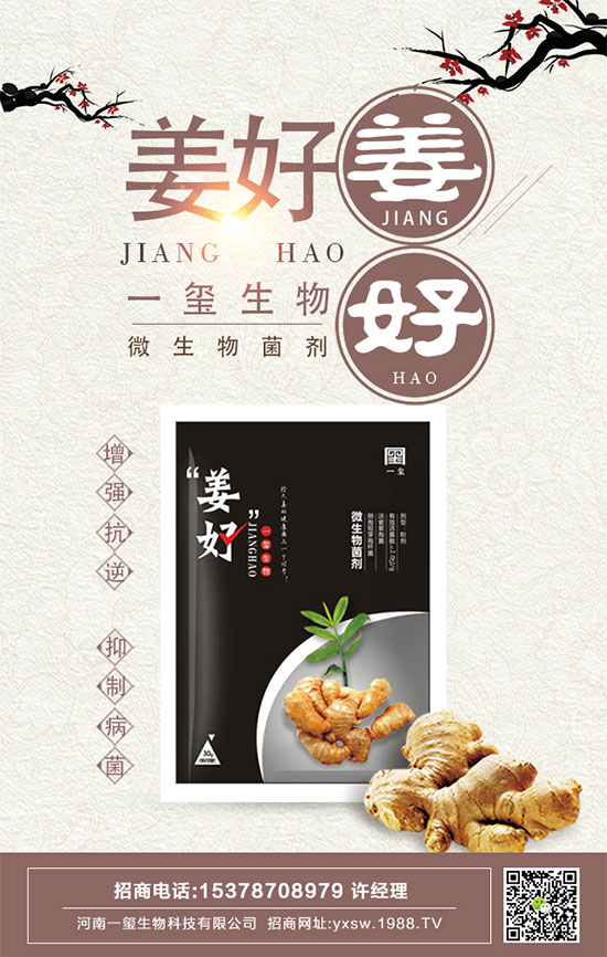 茄子的功效與作用，茄子的營養(yǎng)價(jià)值
