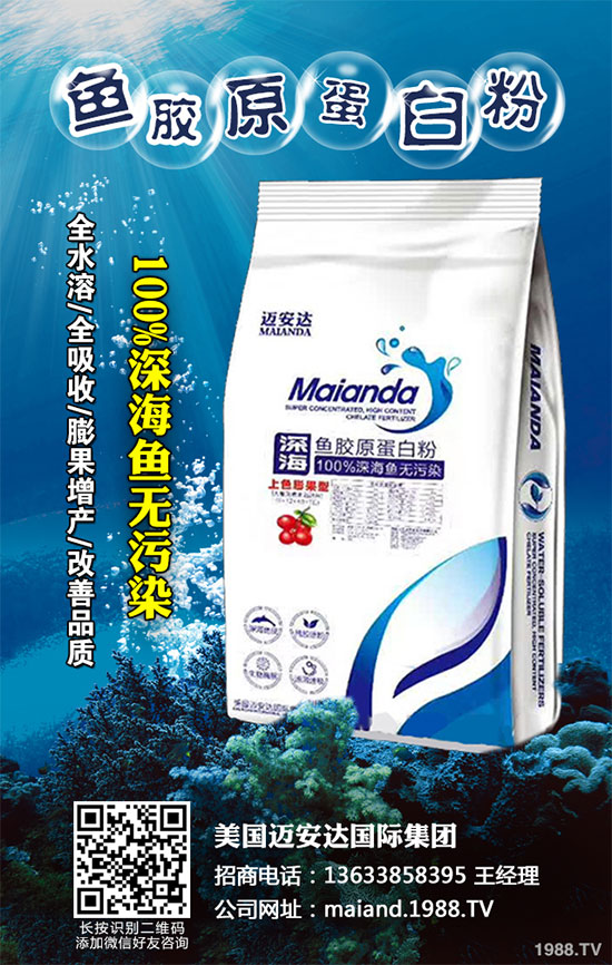 白菜病毒病危害巨大，到底該怎么辦？白菜病毒病及其防治圖譜