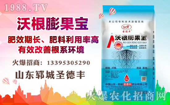     ����ʮ�£�1988.TVϲӭ��������ɽ�|�i��ʥ���S���݁��u��