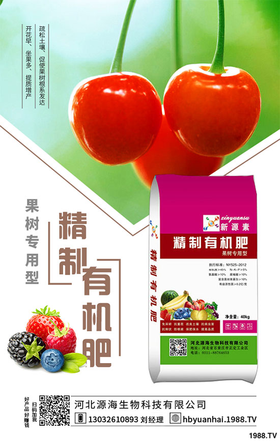 菠菜的生長習(xí)性如何？如何提高菠菜的產(chǎn)量？