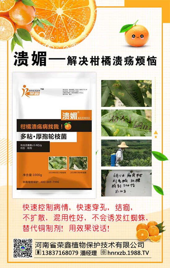 菠菜的營養(yǎng)價值，吃菠菜的好處有哪些？