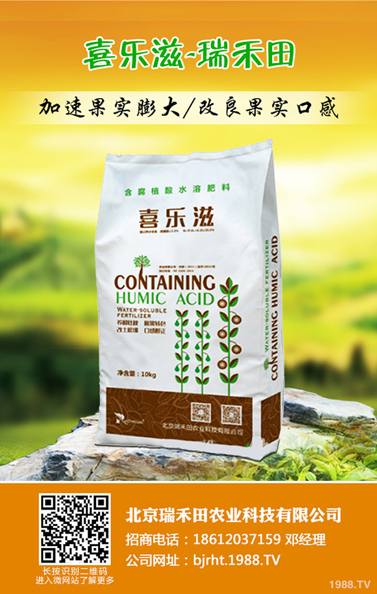 冬棗什么時(shí)間種植,冬棗高產(chǎn)管理技術(shù)!