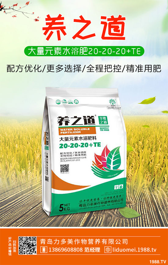 白菜白銹病危害這么大，到底該如何防治？白菜白銹病防治措施