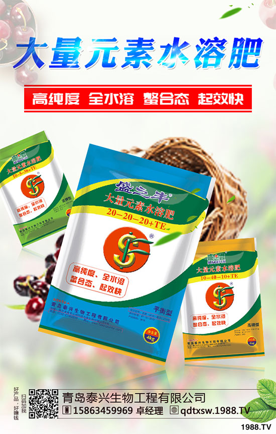 白菜根腐病有哪些危害癥狀？該如何防治？白菜根腫病的識別與防治！