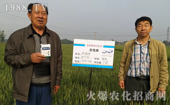 節(jié)節(jié)麥如何防除，用什么藥？