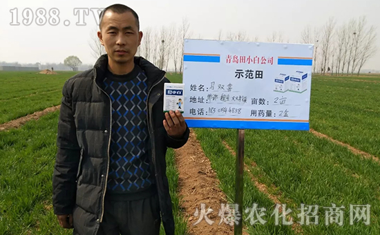 節(jié)節(jié)麥如何防除，用什么藥？