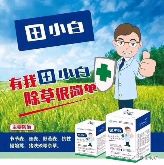 節(jié)節(jié)麥如何防除，用什么藥？怎么打藥效果好？