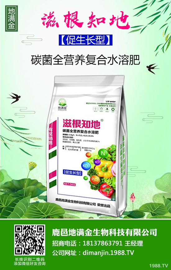     2019年10月22日復(fù)合肥最新批發(fā)價格，多少錢一噸？