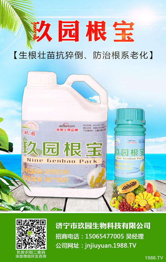 菠菜蚜蟲如何防？菠菜蚜蟲的危害及發(fā)生規(guī)律！