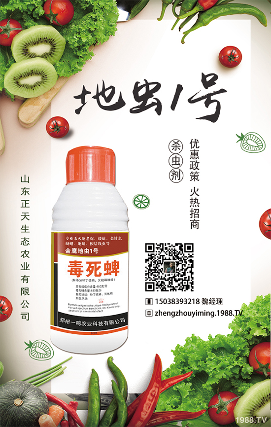 櫻桃蘿卜如何種植，櫻桃蘿卜需要注意什么？