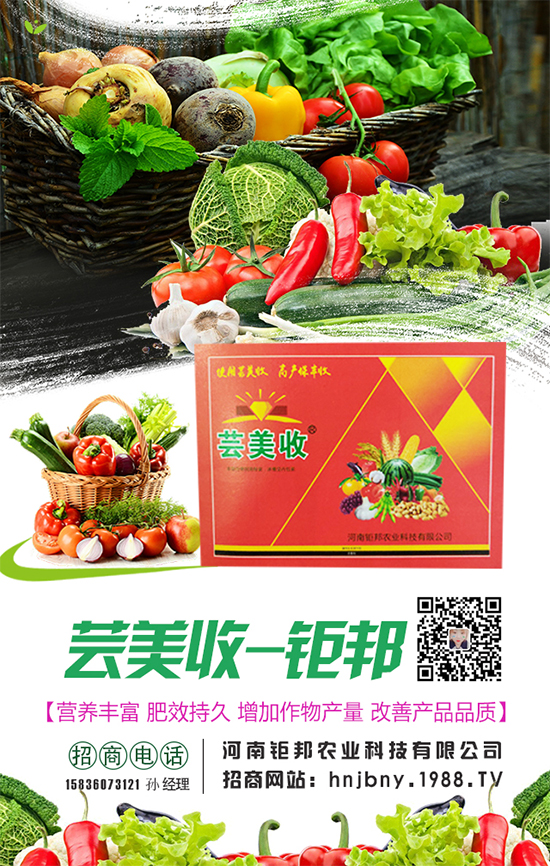 櫻桃蘿卜生長(zhǎng)對(duì)環(huán)境條件要求,櫻桃蘿卜怎么施肥?