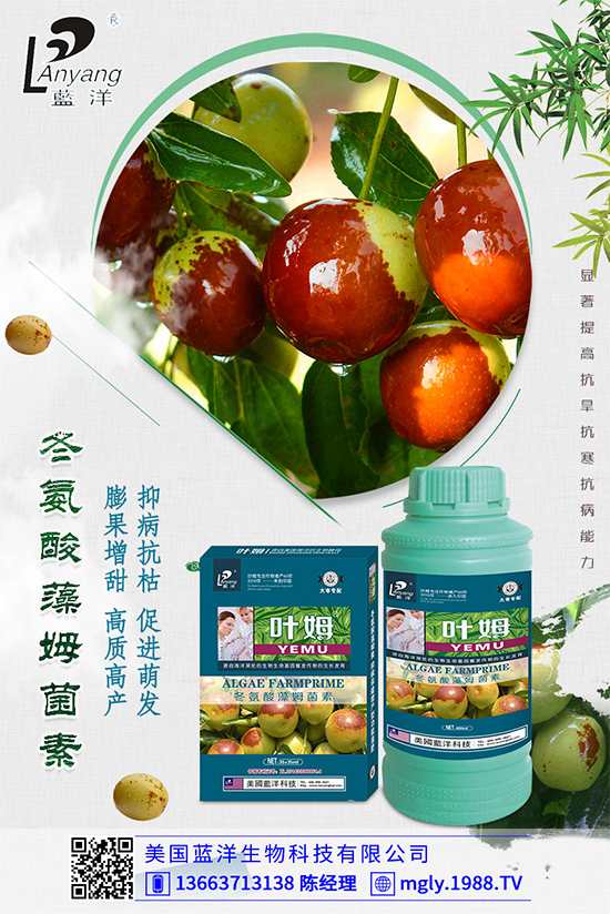 白菜軟腐病是如何引起的？有哪些危害？白菜軟腐病的發(fā)生與防治