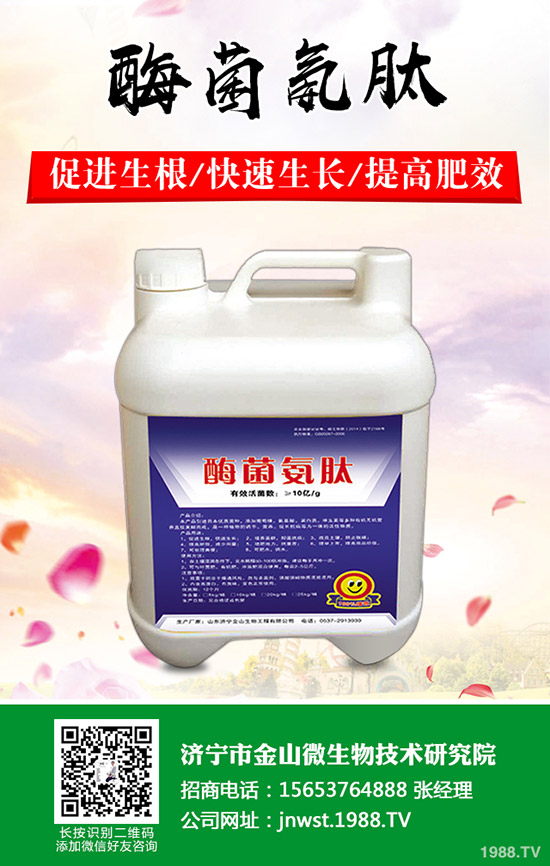 天冬怎樣種植，天冬高產(chǎn)管理技術(shù)！