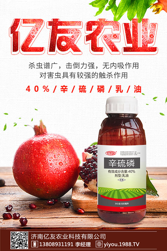 臘梅種子怎么種，臘梅種子種植方法！