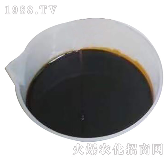 �ӱ���������ɹ����s1988.TV���y�ֹ���(chu��ng)��(zh��n)����