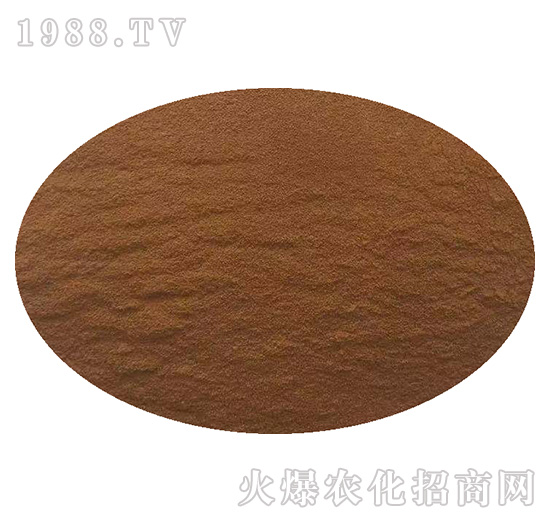 �ӱ���������ɹ����s1988.TV���y�ֹ���(chu��ng)��(zh��n)����