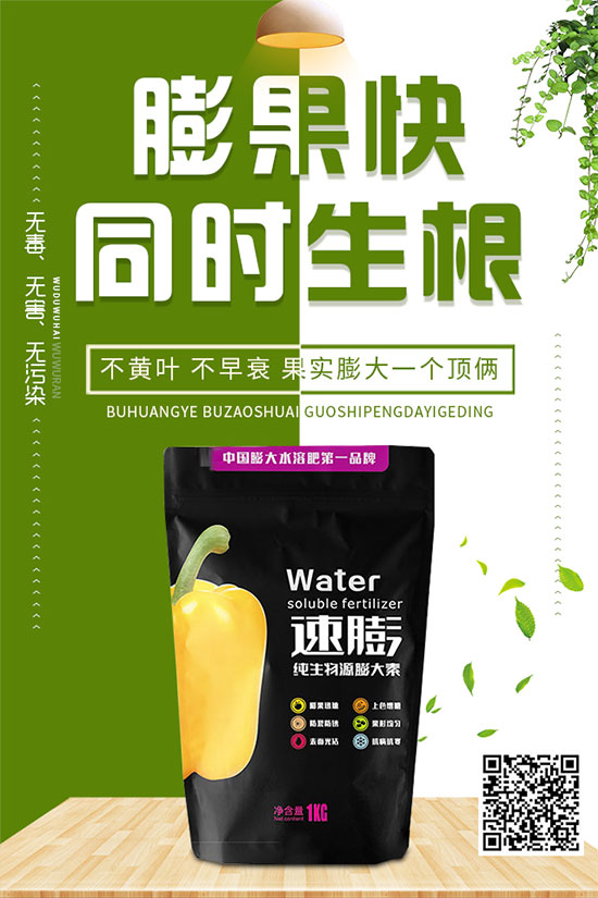 白菜霜霉病是如何引起的？有哪些危害？白菜霜霉病的預(yù)防措施