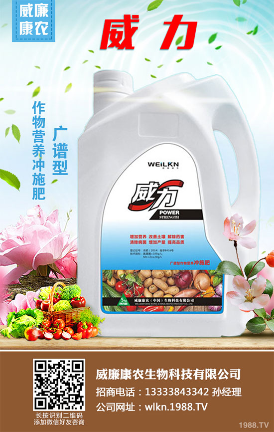 白菜干燒心有哪些危害?是如何引起的?白菜干燒心的防治措施