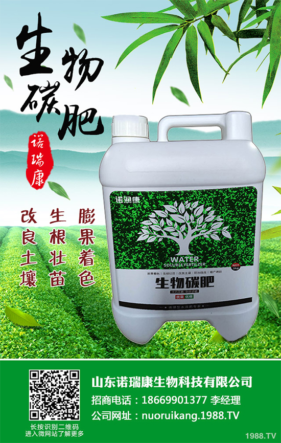 冬茬油麥菜該怎么種?掌握這幾點,輕松種出油麥菜!