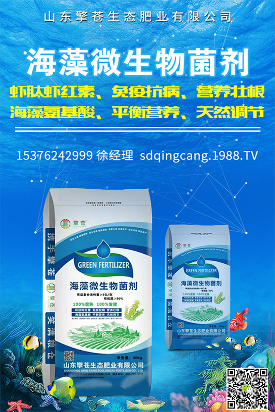 油麥菜霜霉病有哪些危害癥狀？有哪些表現(xiàn)？油麥菜霜霉病的防治措施