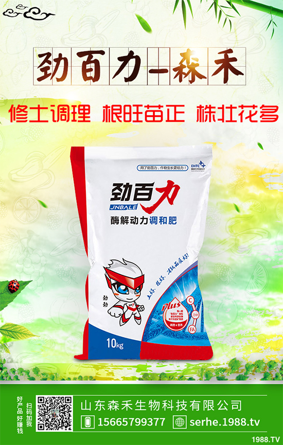 油麥菜霜霉病有哪些危害癥狀？有哪些表現(xiàn)？油麥菜霜霉病的防治措施