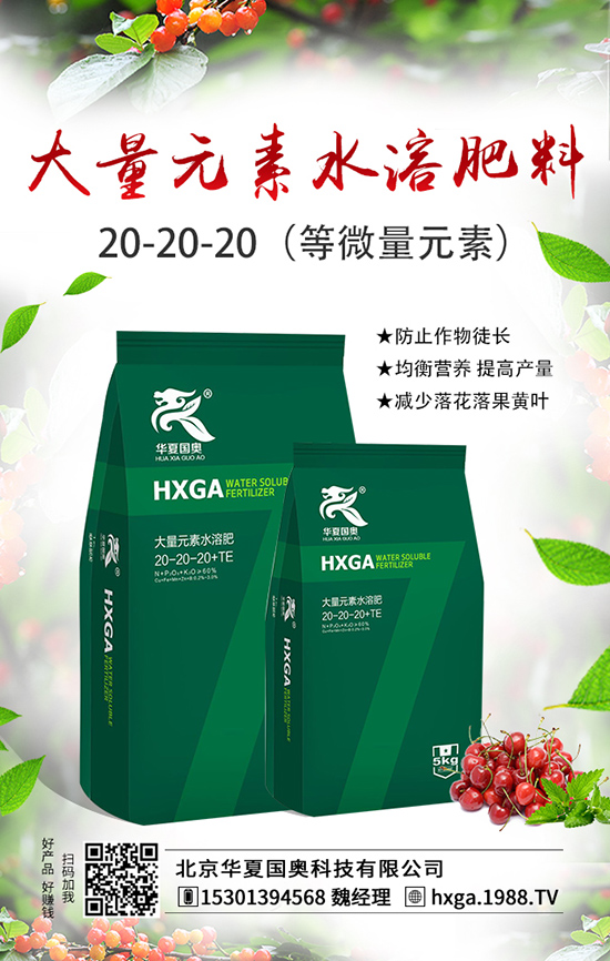 北京華夏國(guó)奧科技有限公司1