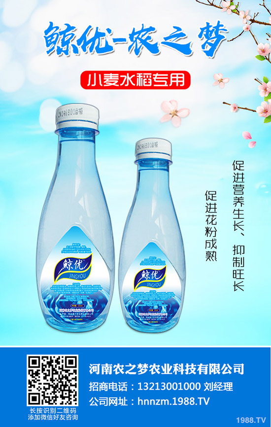 番茄缺鈣是什么表現(xiàn)？番茄補鈣措施！