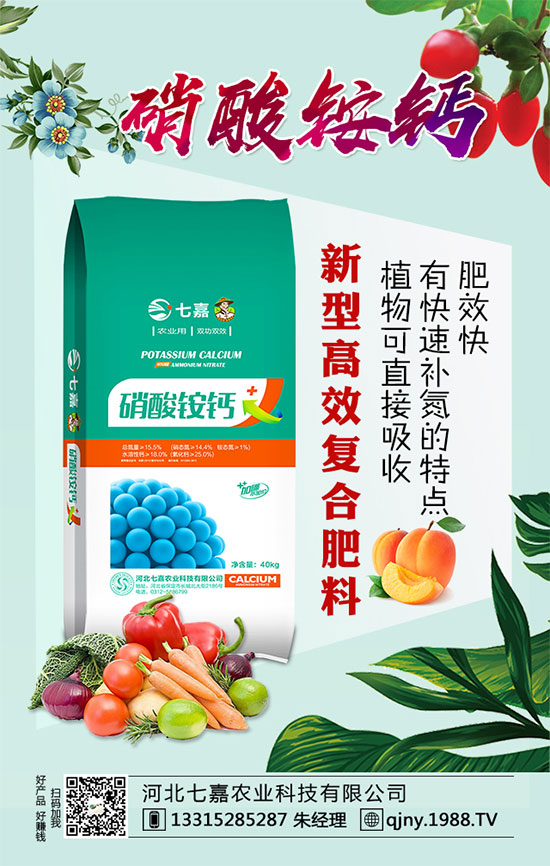 核桃黑斑病怎么辦?核桃黑斑病的癥狀及防治方法