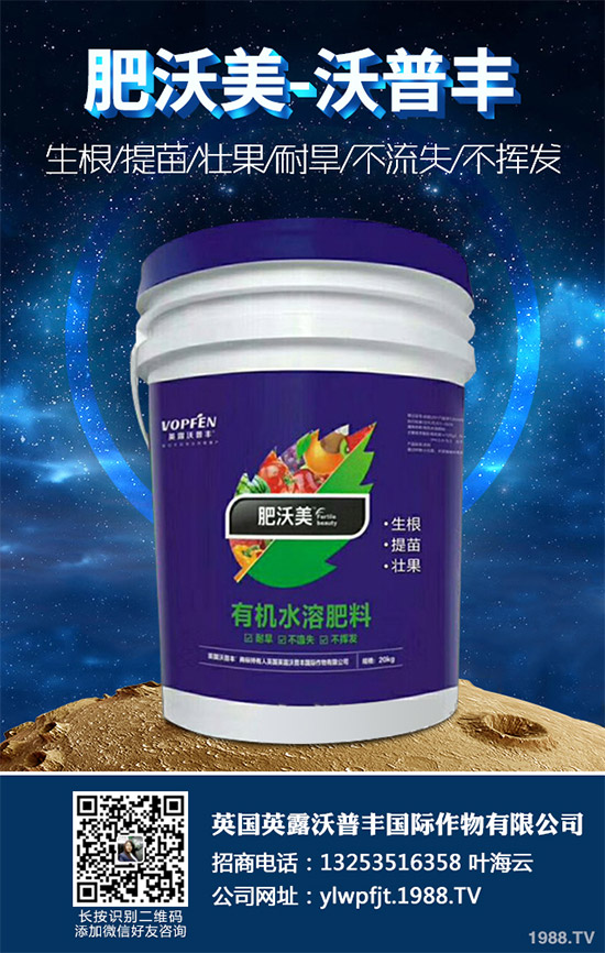     說起油麥菜，相信很多朋友都喜歡吃，不論是炒著吃，還是燙著吃油麥菜都有不一樣的風(fēng)味，油麥菜是我們常見的的蔬菜之一，油麥菜的營養(yǎng)價(jià)值略高于生菜，而遠(yuǎn)遠(yuǎn)優(yōu)于萵筍。那么，油麥菜的營養(yǎng)價(jià)值有哪些？吃油麥菜有哪些好處呢？