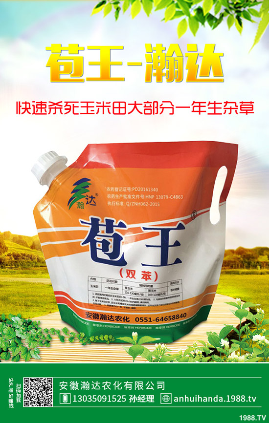 早春韭菜怎么施肥？韭菜施肥方法和注意事項！