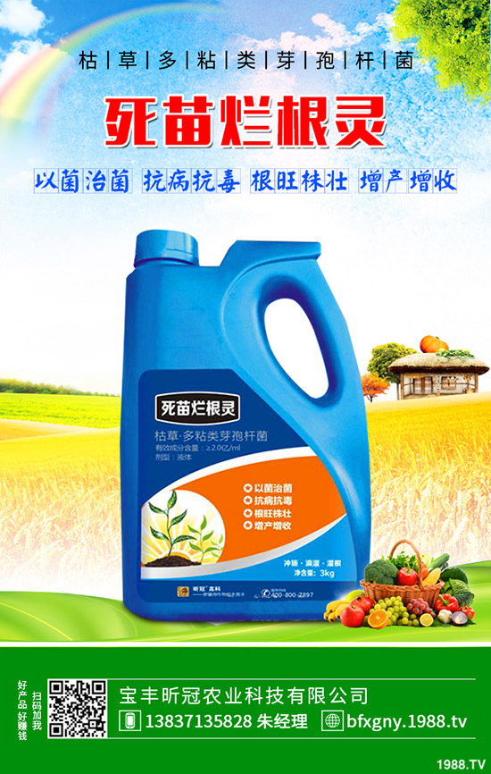 怎么種植羅漢果，羅漢果種植方法介紹！