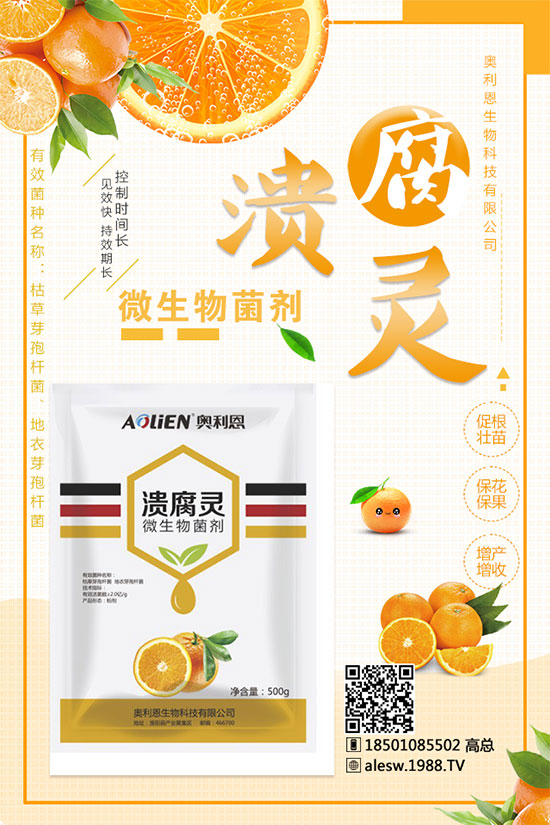 甘蔗什么時候種?甘蔗種植技術(shù)及種植條件