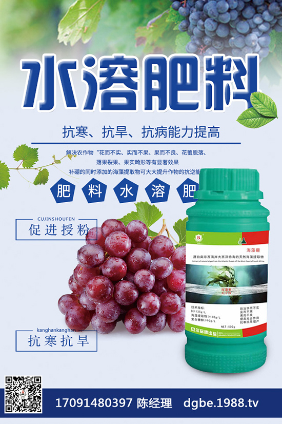 芒果怎么種才好？芒果高產種植技巧！