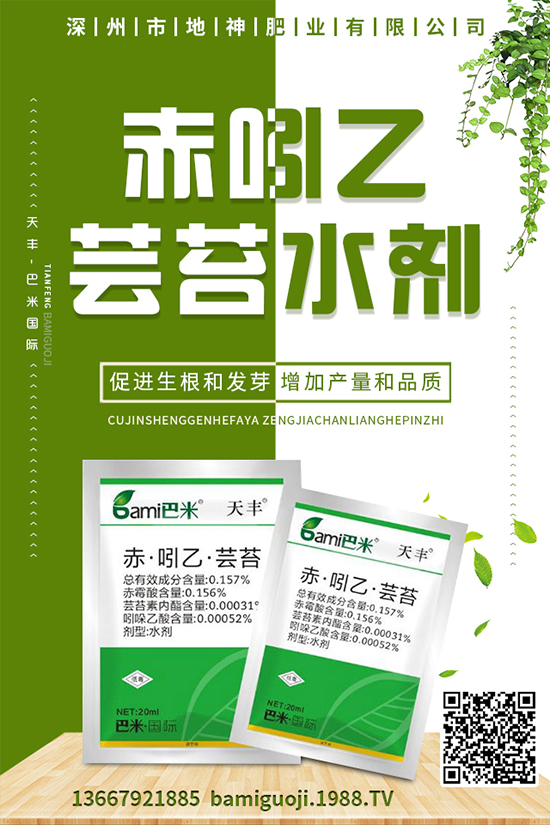 雞蛋果怎樣種植？雞蛋果種植技術(shù)及注意事項！