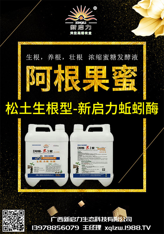 甘藍(lán)黑脛病有哪些危害？秋甘藍(lán)病害的發(fā)生與防治技巧