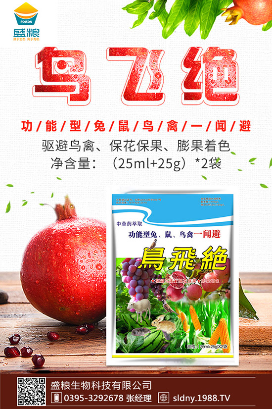 �������t������ڷۣ��������t���ڷ۷�������Щ��