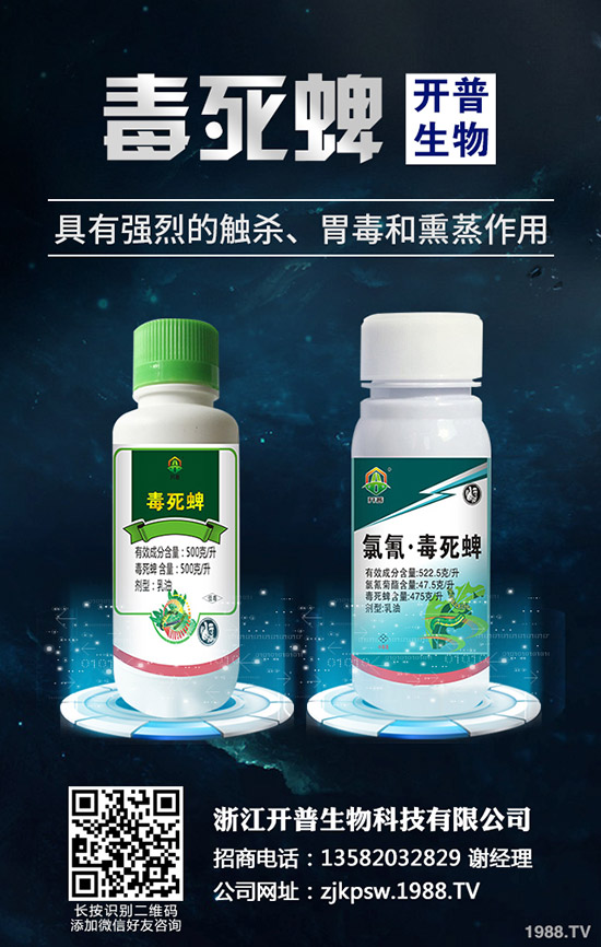 秋季種植哪些蔬菜好，秋季蔬菜種植指南！