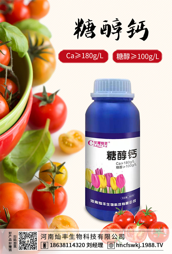 甘藍立枯病來襲,到底該如何防治?甘藍立枯病防治措施