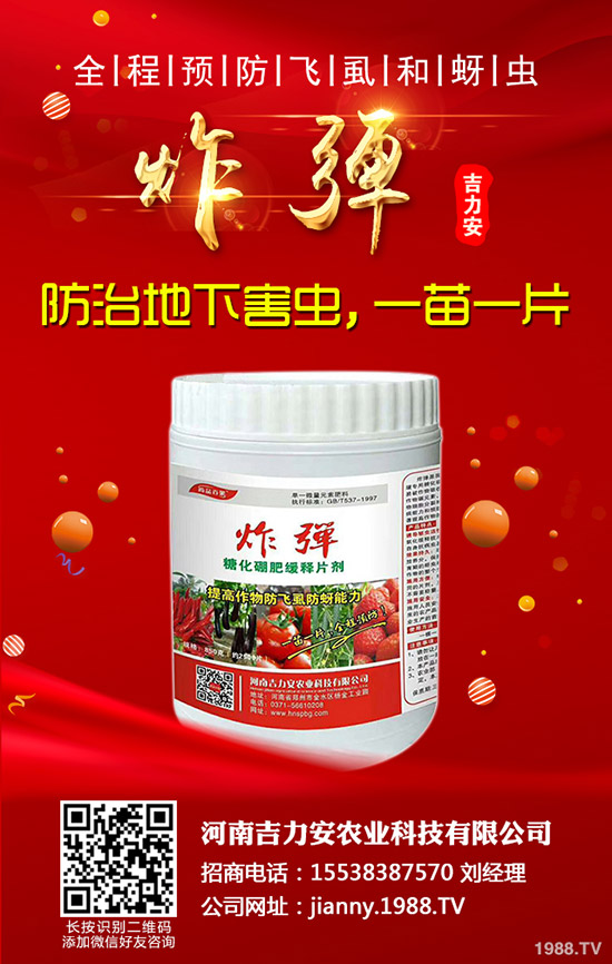 芹菜的功效與作用，哪些人不能吃芹菜？