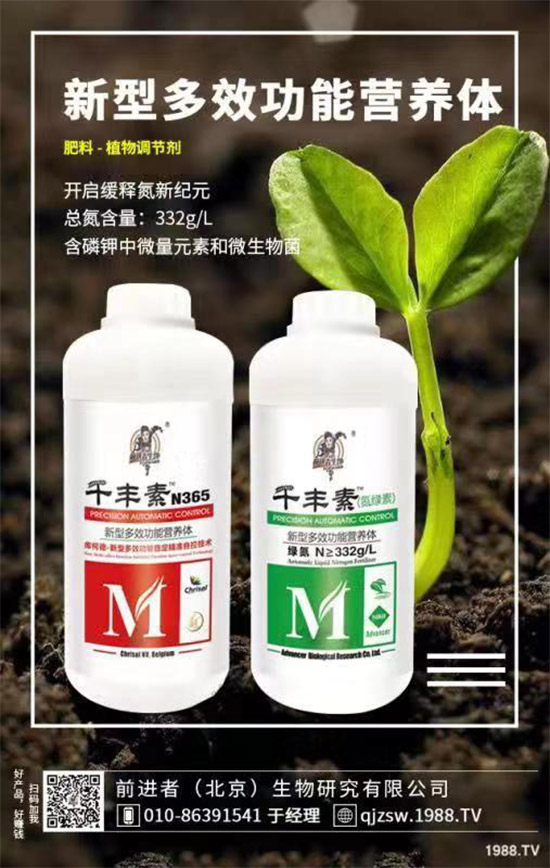 花生爛果怎么回事？花生爛果的防治措施！