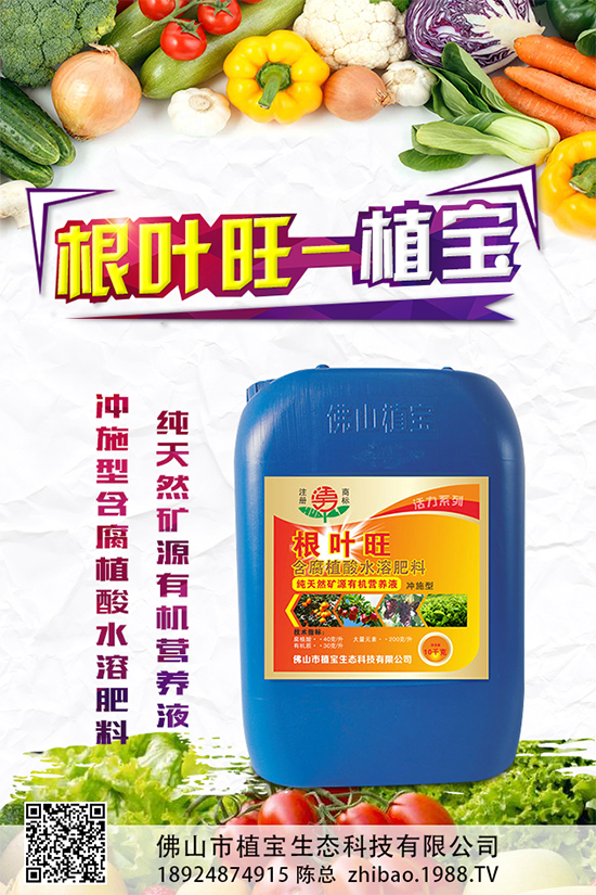 越冬茄子該如何施肥？冬茬茄子施肥技術(shù)要點(diǎn)