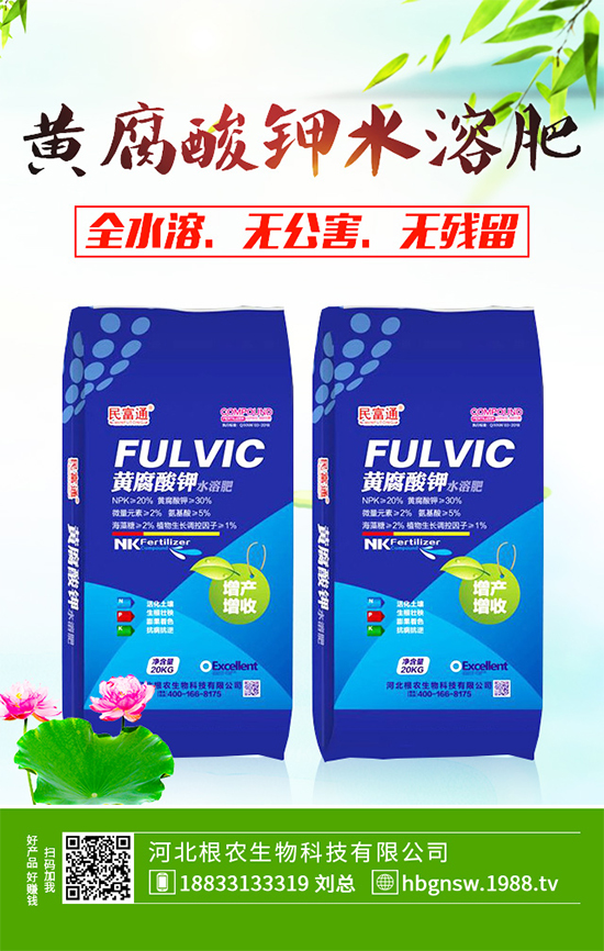 五味子樹該如何種植?五味子規(guī)?;N植技術(shù)