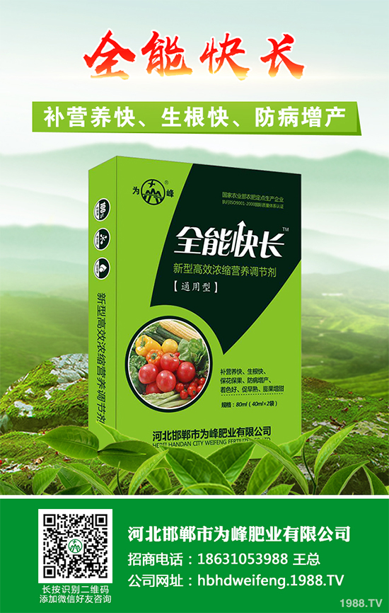 五味子樹該如何種植?五味子規(guī)模化種植技術(shù)